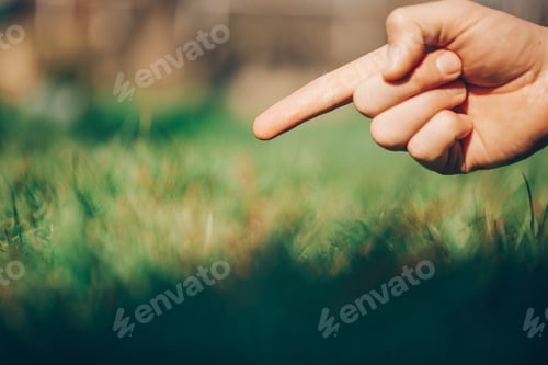 Preview: Man Hand Grass. Grass Background. Text.