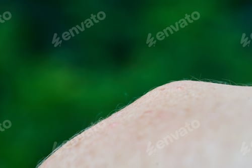 Preview: Shoulder