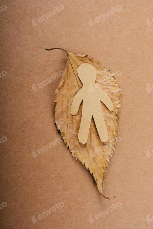 Preview: Paper Man Shape Placed On A Dry Leaf In View