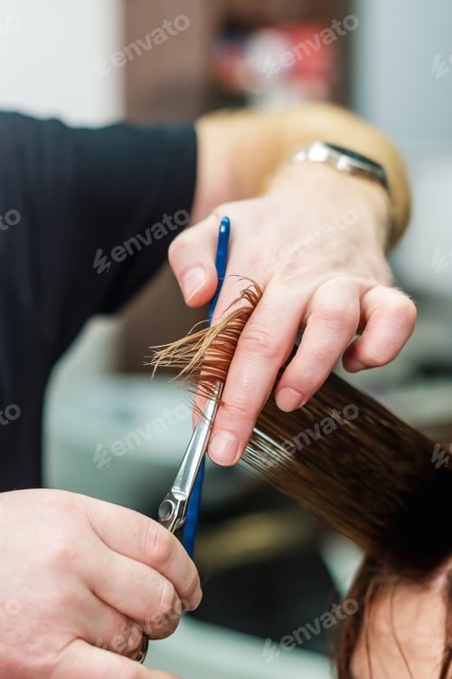 Preview: Professional Hairdresser Hold In Hand Between Fingers Lock Of Red Hair And Cuts Hair Tips, Scissors
