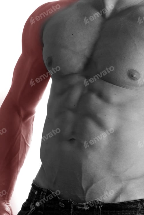Preview: Muscular Male Torso With Arm Selected On White Background