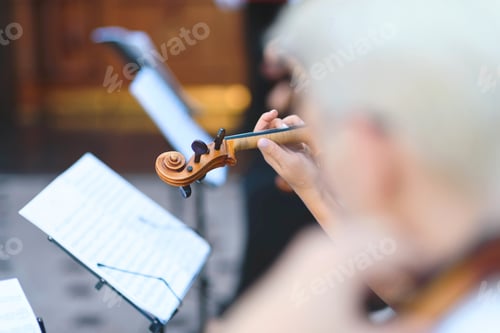 Preview: Woman Holding Nck Of Violin And Playing Music At Concert