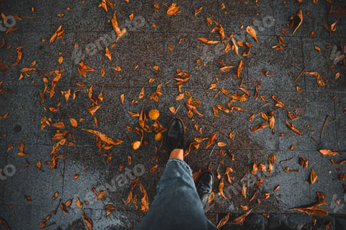 Preview: First Person Point Of View. Woman Lags In Black Shoes. Yellow Falling Leaves On Wet Ground. Autumn