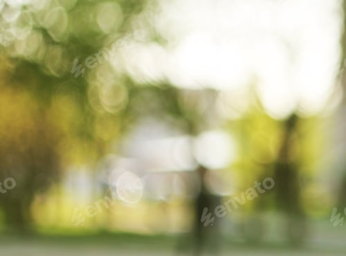 Preview: Blurred Natural Background