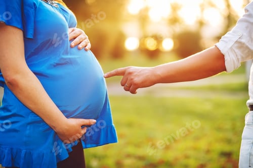Preview: Stomach Of A Pregnant Woman In The Park