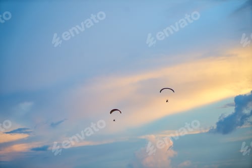 Preview: Para Sailing