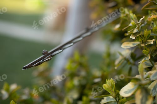 Preview: Cutting A Hedge With Electrical Hedge Trimmer. Selective Focus. Gardener Is Trimming The Hedge Or