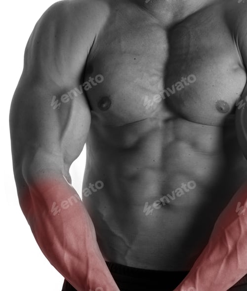 Preview: Muscular Male Torso With Arms Selected On White Background