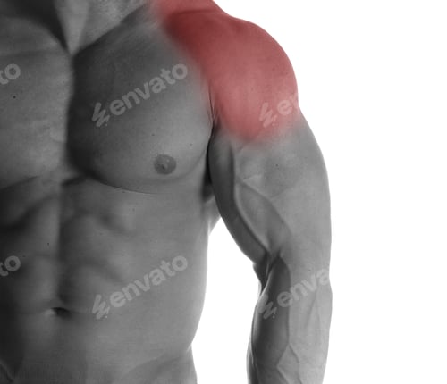 Preview: Muscular Male Torso With Shoulders Selected On White Background