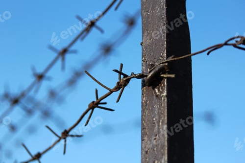 Preview: Barbed Wire Fence Close Up