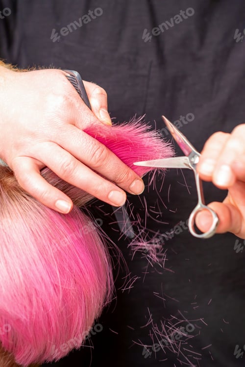 Preview: Close Up Of Hairdresser Cutting Short Pink Hair Of The Young Woman In A Hair Salon