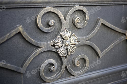 Preview: Forged Iron Door Floral Petals Element Close Up