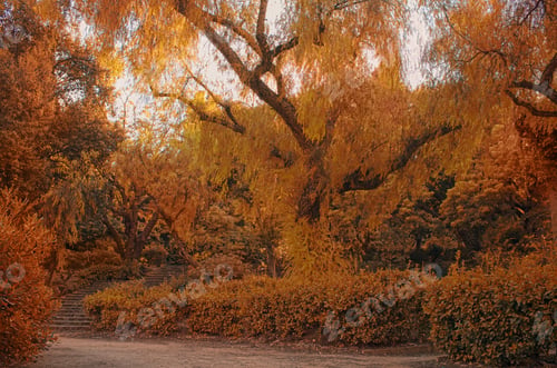 Preview: Stair In A Autumn Park.