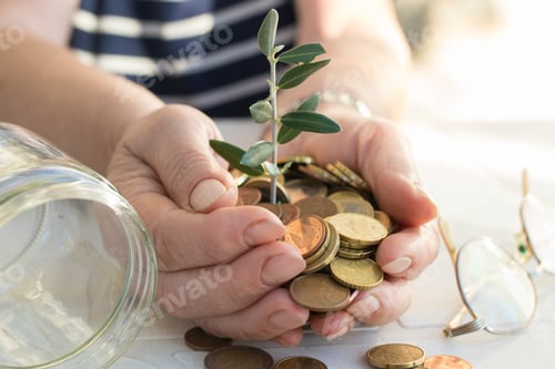 Preview: Grandfather'S Hands With The Savings And The Plant Growing