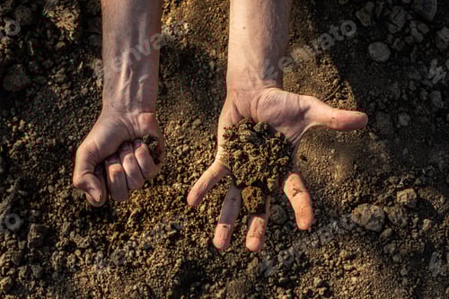 Preview: Soil, Cultivated Dirt, Earth, Ground, Brown Land Background. Organic Gardening, Agriculture. Nature