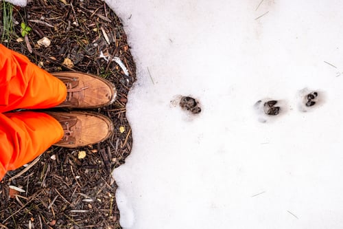 Preview: Feet Of Man With Shoes Standing In Front Of A Snowy Field.
