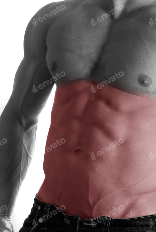 Preview: Muscular Male Torso With Abs Selected On White Background