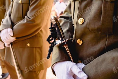 Preview: Army Soldiers With Gloves Holding Their Sabers Waiting To Be Checked By The Superior
