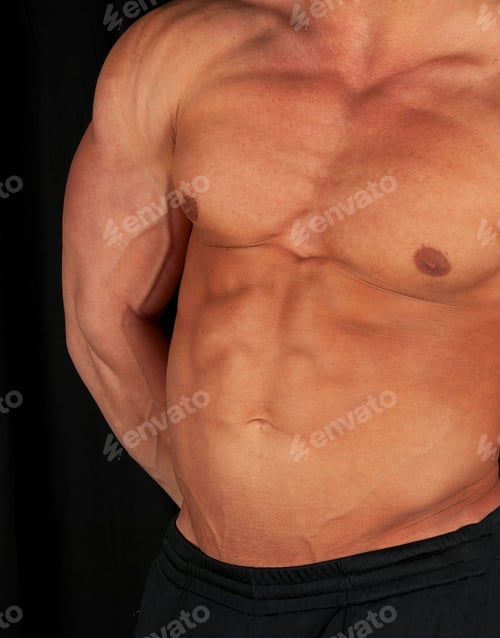 Preview: Muscular Male Torso