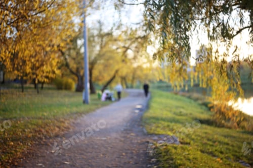 Aperçu: Blurred Autumn Park Walkway