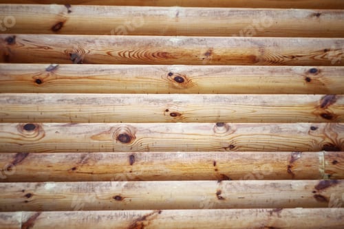 Preview: Wood Log Background