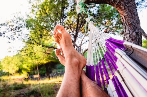 Preview: Relaxing in a Hammock Outdoors on a Summer Day