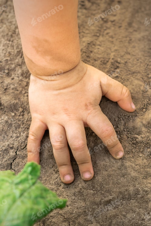 Preview: Close Up Of Hand Of Baby Touches Dry Soil Background Outdoors.