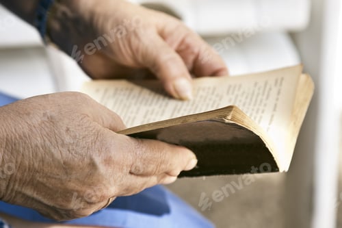Preview: Grandmother Read The Book