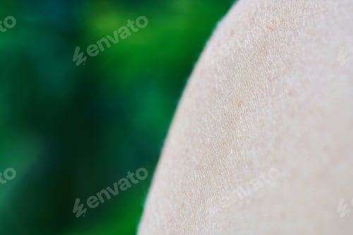 Preview: Shoulder