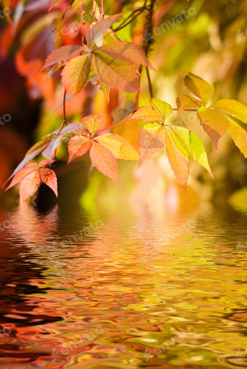Preview: Autumn Leaves In Rendered Water