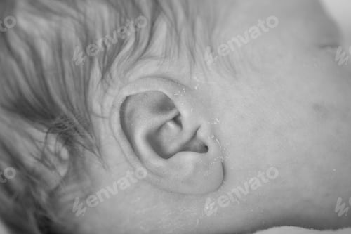 Preview: Delicate Little Ear Of Newborn. Close-Up Of Baby Newborn Ear Showing Cute Hairy Ear And Lots Of