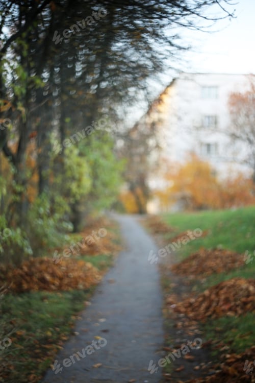 Preview: Blurred Empty Park Trail With Fallen Leaves