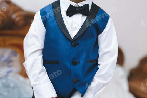 Preview: Boy In Blue Waistcoat And Black Bowtie At Home