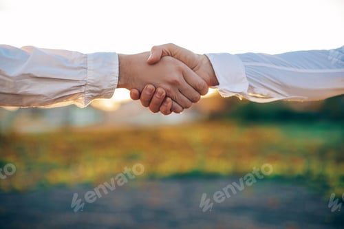 Preview: Agreement Of Success. Hands Concept. Nature Background.