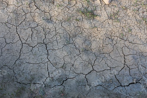 Preview: Cracked Soil Close Up