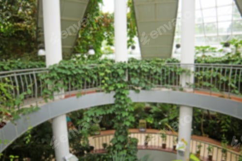 Preview: Blurred Greenhouse Interior Background