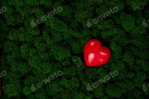Preview: Red Heart In Green Sort Moss, Love And Valentines Day Concept