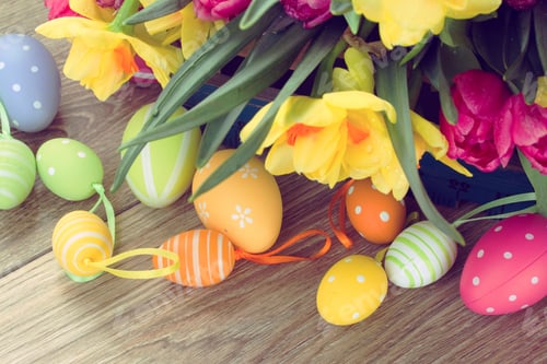 Preview: Spring Pink Tulips And Yellow Daffodil Flowers With Easter Eggs