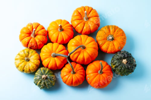 Preview: Pile Of Orange And Green Pumpkins On Blue Background