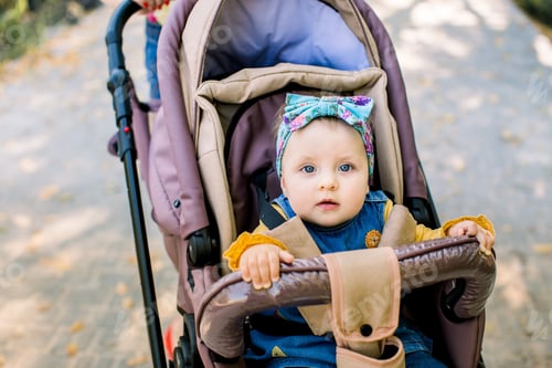 Preview: Baby Is Sitting On Carriage Alone. Baby In Sitting Stroller On Nature