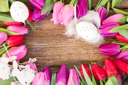 Preview: Eater Frame With Fresh Tulips And Eggs