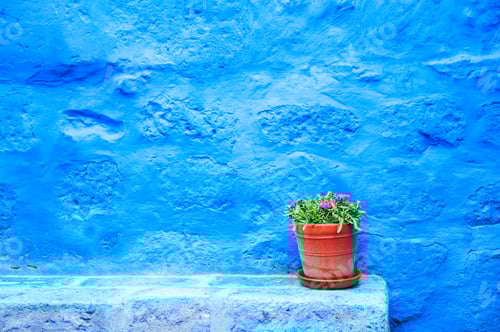 Preview: Blue Painted Wall And Flower In The Clay Pot. Architecture In Arequipa, Peru