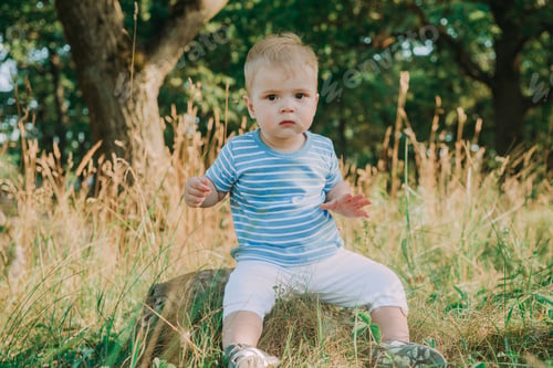 Preview: 1 Year Old European Cute Boy On The Grass. Birthday Anniversary.
