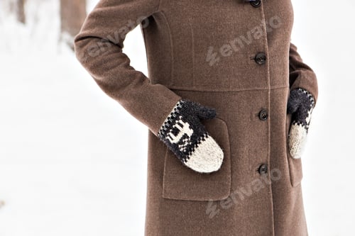 Preview: Winter Mittens. Beautiful Cozy Warm Winter Clothing