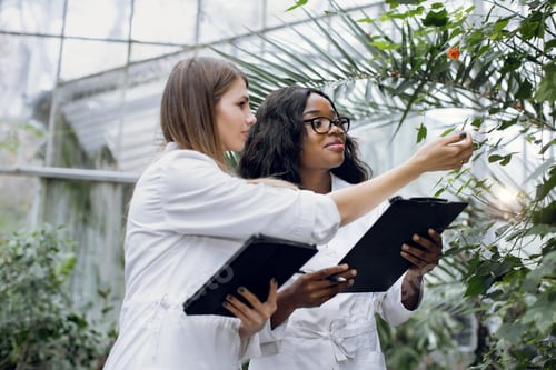 Preview: Young Pretty African Woman Agronomist In White Lab Coat, And Her Caucasian Female Colleague