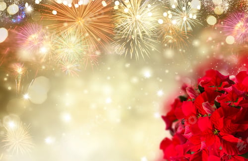 Preview: Scarlet Poinsettia Flower Or Christmas Star On Festive Background With Fireworks