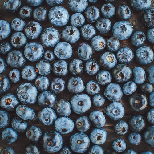Preview: Freshly picked blueberries during harvest. For healthy lifestyle, fruits, and healthcare concepts.
