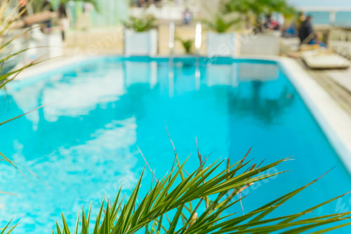 Preview: blurred summer vacation background green palm leaf and turquoise water of the swimming pool copy