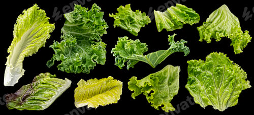 Preview: Collection of salad leaves isolated on black background