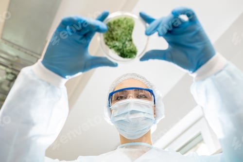 Preview: Environmental researcher working in laboratory